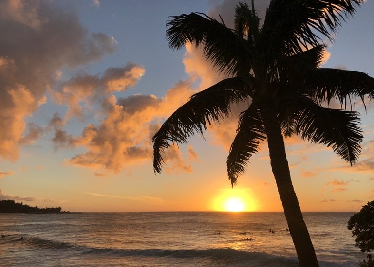 Sunset at a beach with a silhouette of a palm tree, symbolizing the urgency of planning for change before it’s too late.